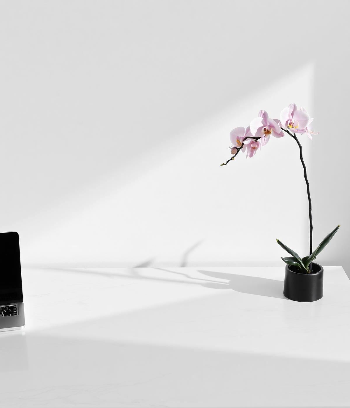 Studio workspace